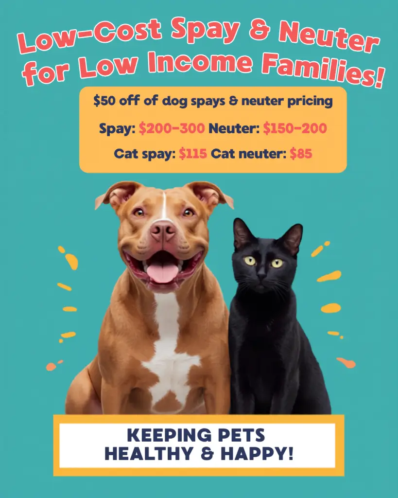 Low-cost spay & neuter!