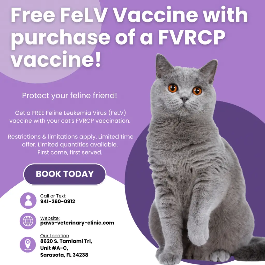 Free FeLV & FVRCP Vaccination Promo for Cats-3