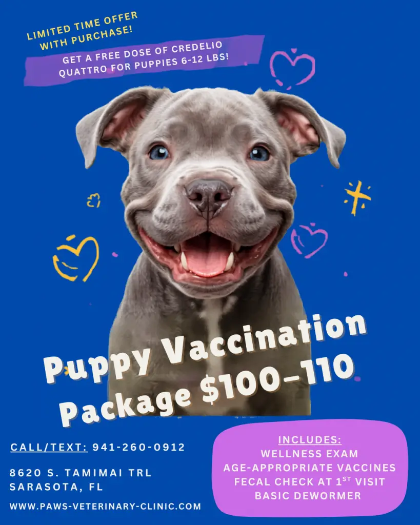 Affordable puppy vaccine packages!