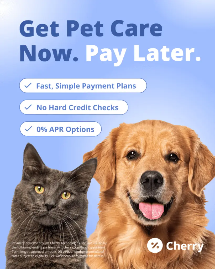 68751f4ed9c8f7174c5c55ec_Veterinary-30